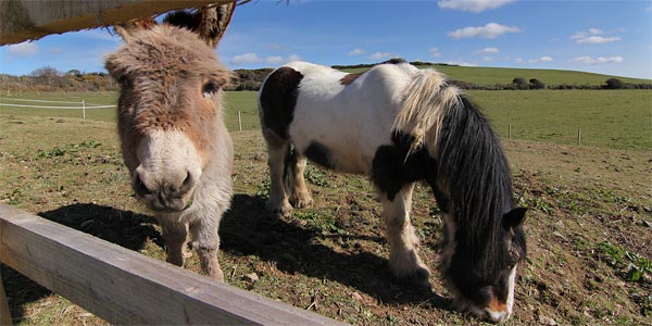 Merlin Farm Eco Cottages