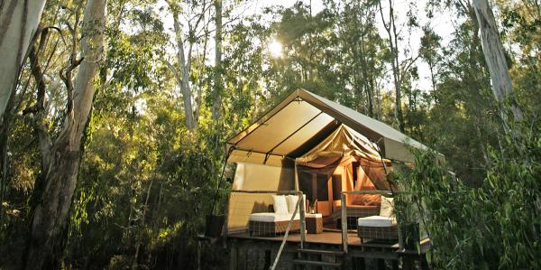 Paperbark Camp