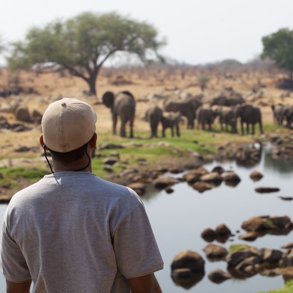 i-escape: Ruaha River Lodge, Tanzania