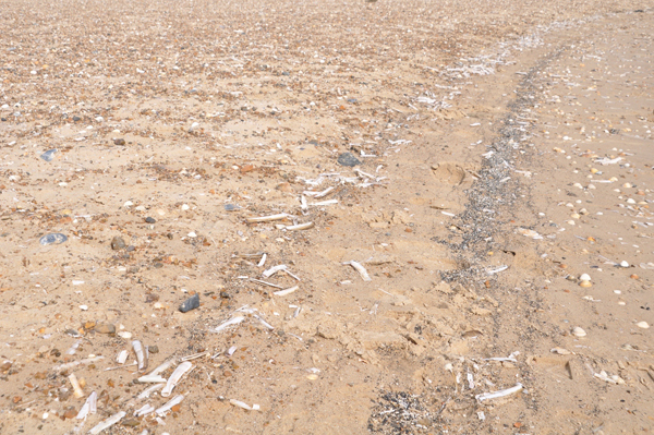 i-escape: Holkham Beach