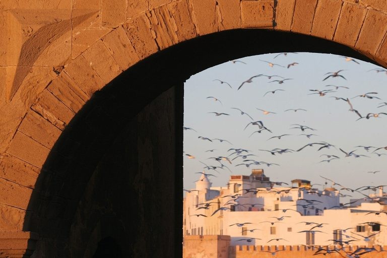 Back from… Essaouira