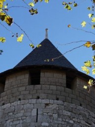 Just back from… Carcassonne