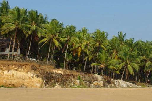 Insider's guide to Kerala
