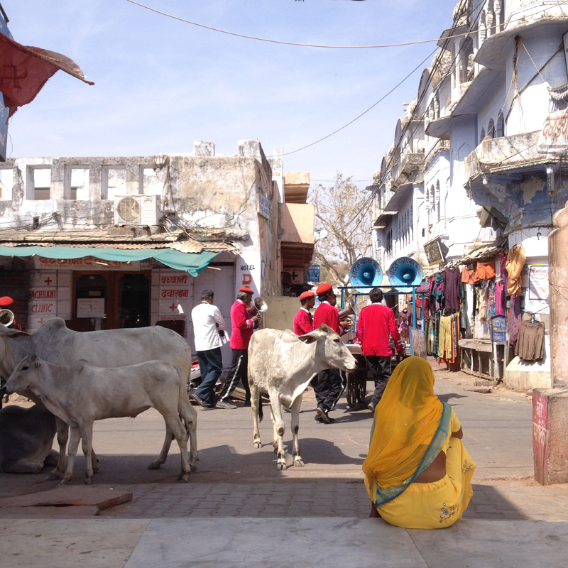 i-escape blog / Rajasthan