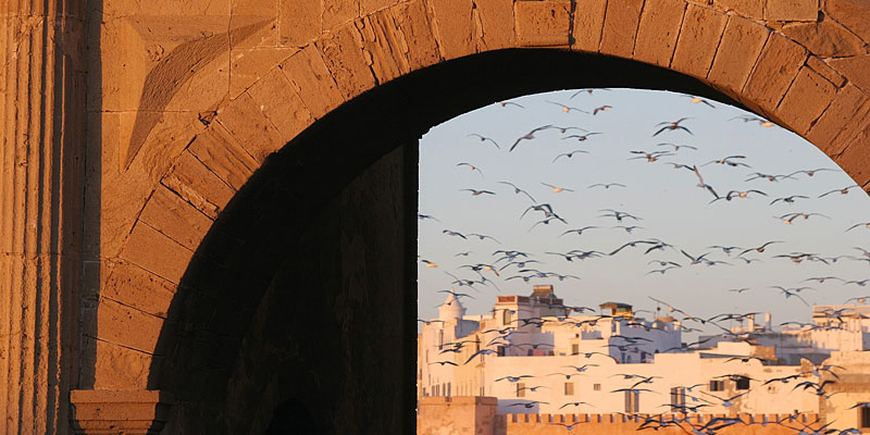 i-escape blog / i-escape’s year in travel / Essaouira