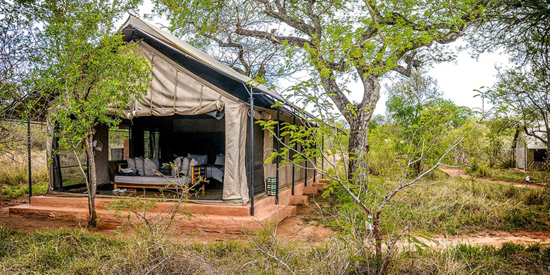 i-escape blog / Summer long-haul destinations / Honeyguide Tented Safari Camp, Kruger, South Africa