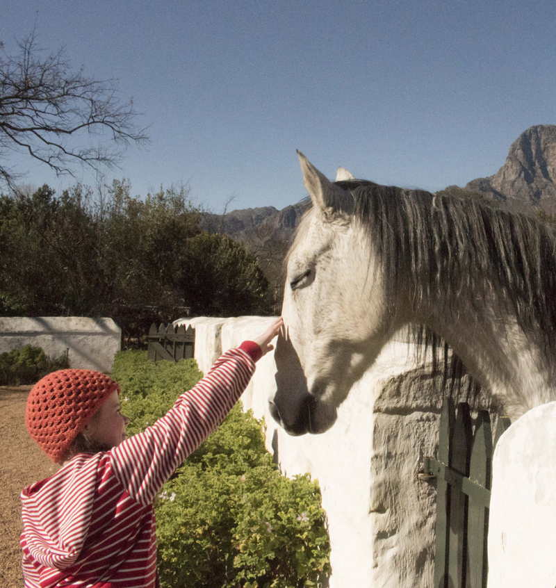 The i-escape blog / South Africa with kids in tow / Boschendal Farm Cottages