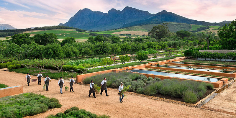 i-escape blog / 6 Family-friendly Foodie Places to Stay / Babylonstoren