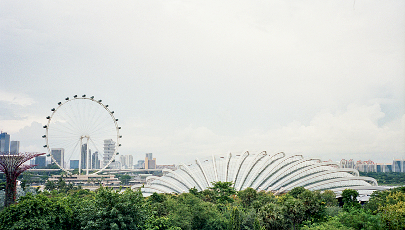 The i-escape blog / Top things to do in Singapore / Gardens by the Bay