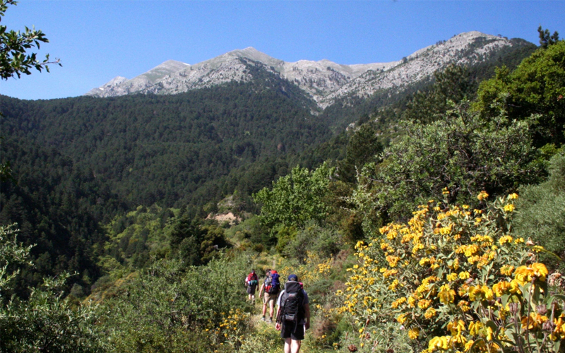 the i-escape blog / the expert view greek mountain hikes / The Peloponnese Way