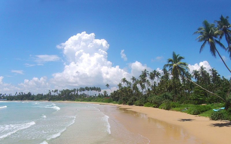 The i-escape blog / Discover Sri Lanka: the perfect island for a winter escape / Sri Lankan beach