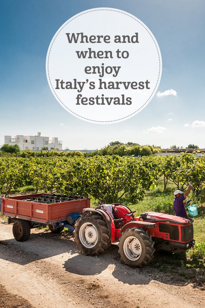 i-escape blog/ Where and when to enjoy Italy’s harvest festivals