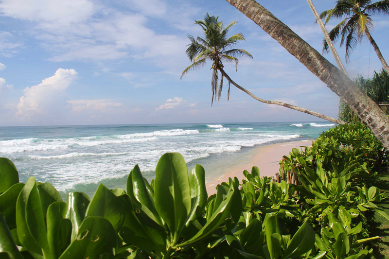 The i-escape blog / Discover Sri Lanka: the perfect island for a winter escape / Serendipity Villa