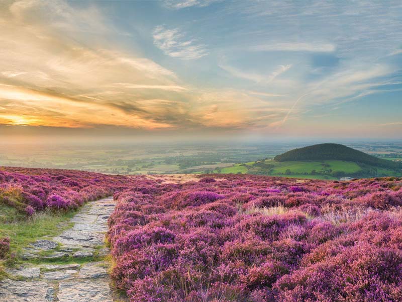 The i-escape blog / The 6 best places to see Britain’s autumn colours / North York Moors, Cleveland Way National Trail, copyright Thomas Heaton