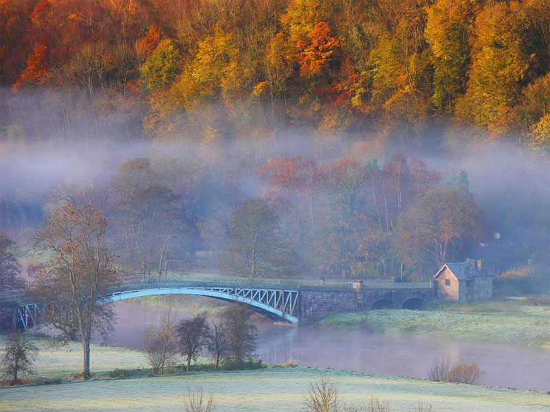 The i-escape blog / The 6 best places to see Britain’s autumn colours / Forest of Dean