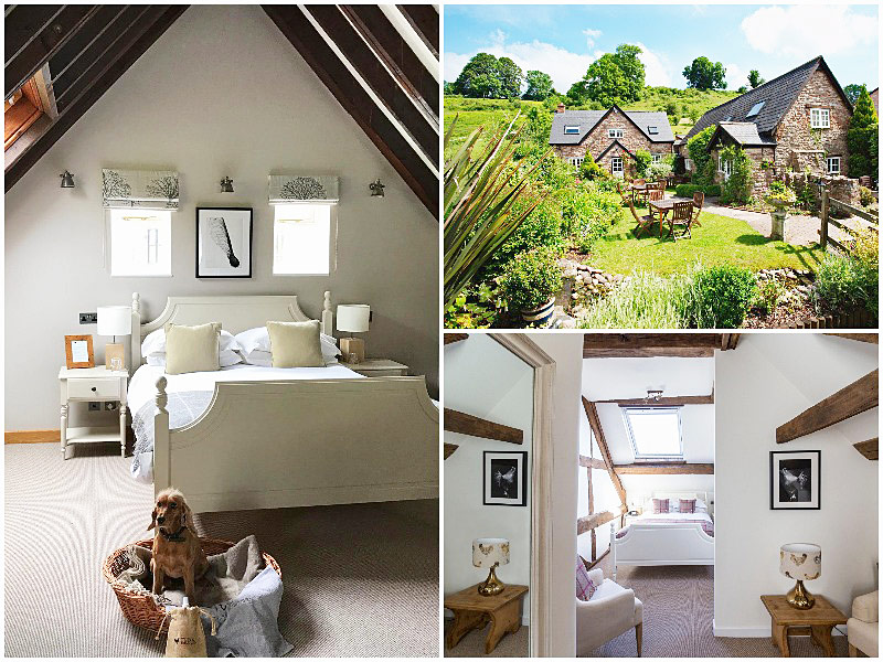 The i-escape blog / 12 pet-friendly UK hotels loved by dogs / Tudor Farmhouse