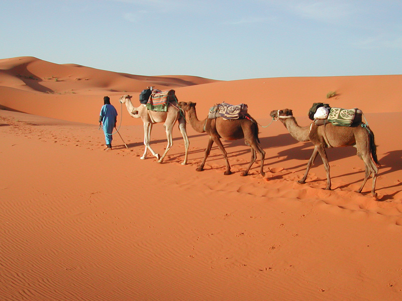 The i-escape blog / 7 Extraordinary Adventures for your Bucket List / Tailormade Tours Morocco