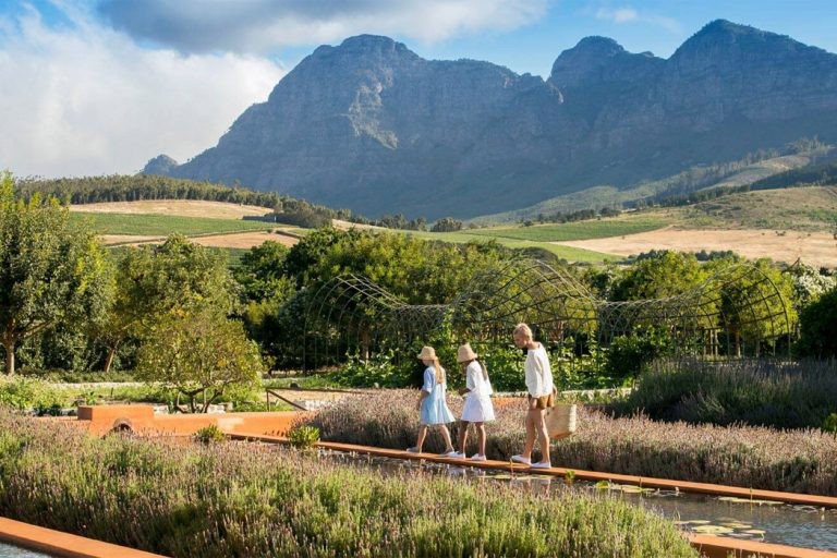 The i-escape blog / Cape Winelands with kids / Babylonstoren