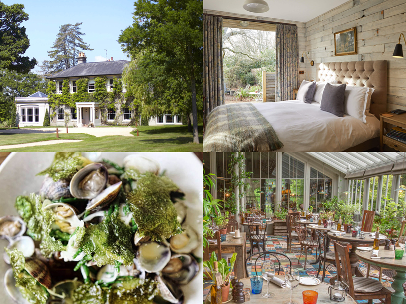 the i-escape blog / 10 UK retreats to spoil yourself at / The Pig Brockenhurst