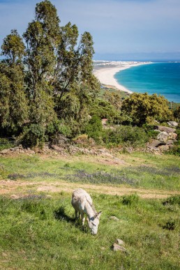 View from El Cancho, Tarifa