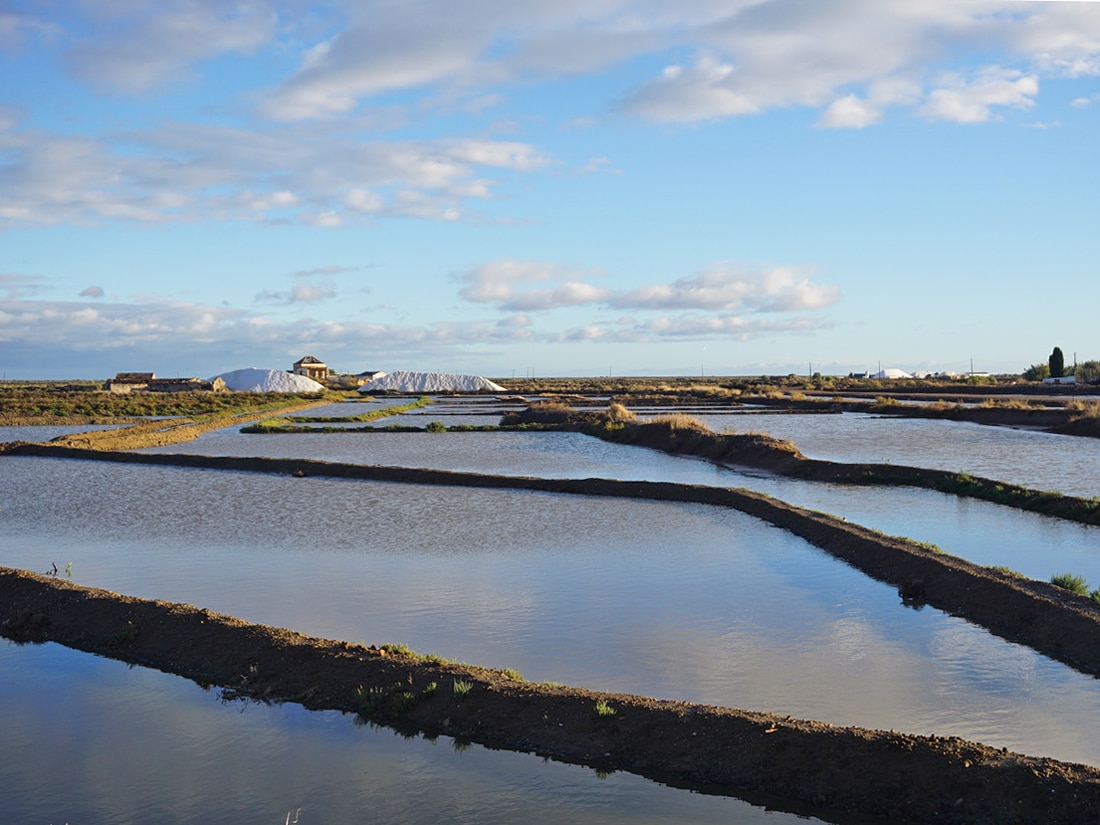 the i-escape blog / Just back from the Algarve with the kid