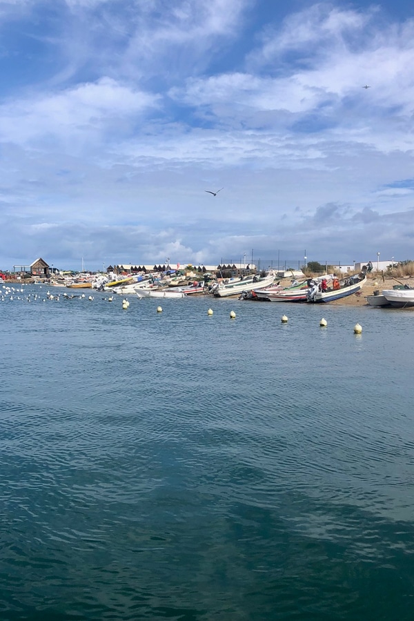 the i-escape blog / Just back from the Algarve with the kid