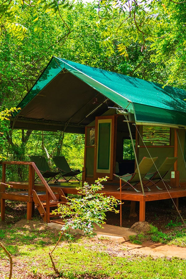 the i-escape blog / A honeymoon tour of Sri Lanka and the Maldives / Kulu Safari