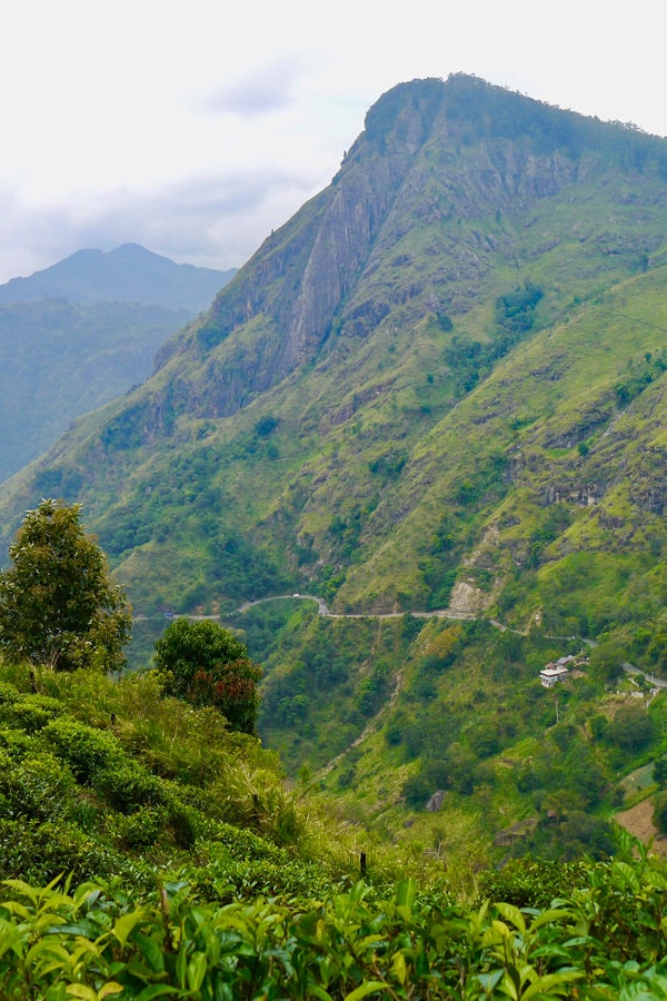 the i-escape blog / A honeymoon tour of Sri Lanka and the Maldives / Ella