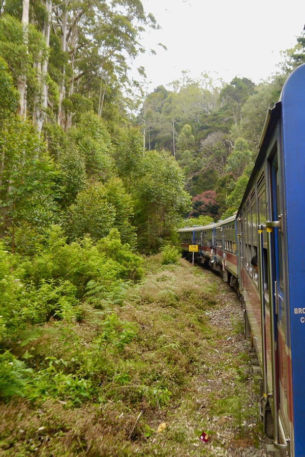 the i-escape blog / A honeymoon tour of Sri Lanka and the Maldives / Ella tea train