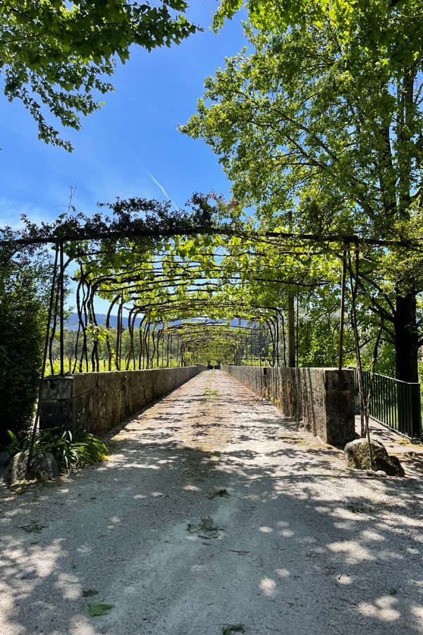 The i-escape blog / Just back from Porto & the Douro with 3 generations / Quinta da Bouca D’Arques, Portugal
