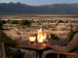 the i-escape blog / 5 unforgettable trips to take in retirement / safari in south africa