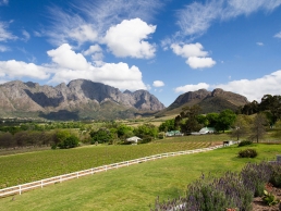 the i-escape blog / 5 unforgettable trips to take in retirement / south africa winelands