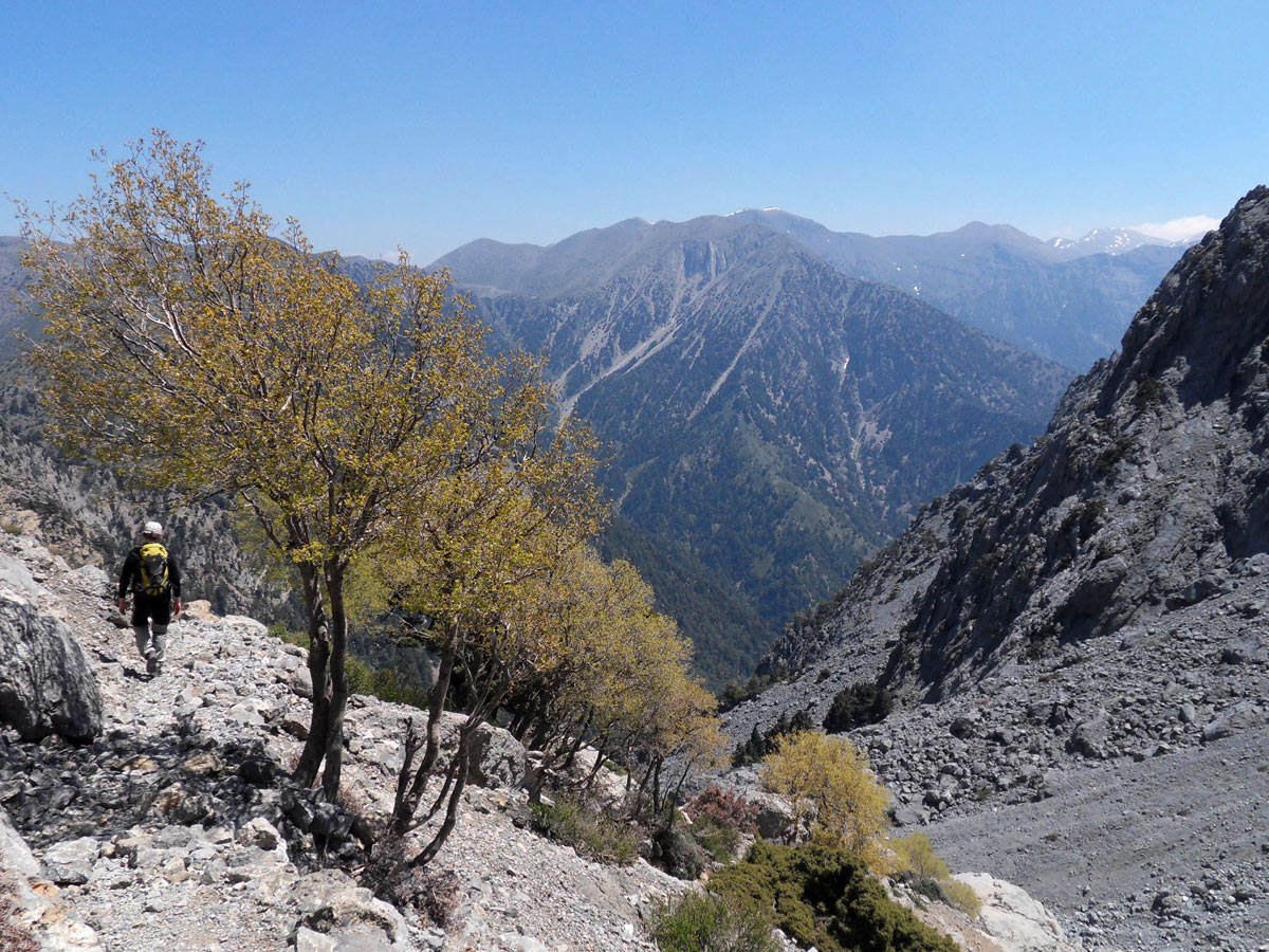Crete White Mts Gingilos