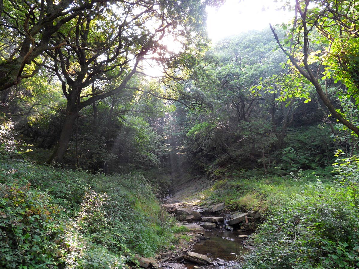 SWCP Cornwall-Devon hiking