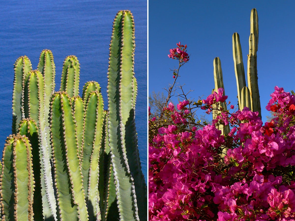 lapalma hiking