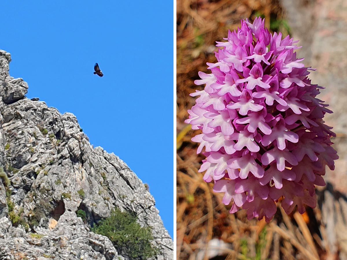 Sierra Grazalema Andalucia hiking