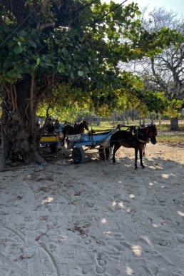 Slow Gili Air, Indonesia