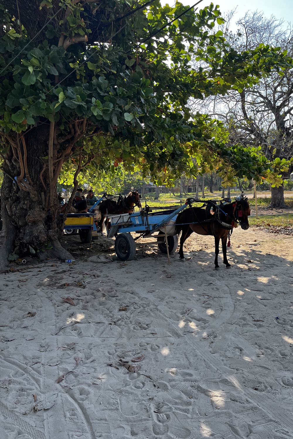Slow Gili Air, Indonesia