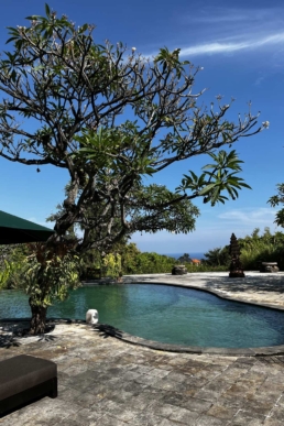 The Damai, Indonesia