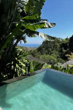 The Damai, Indonesia