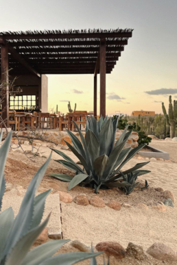 Desierto Azul, Mexico