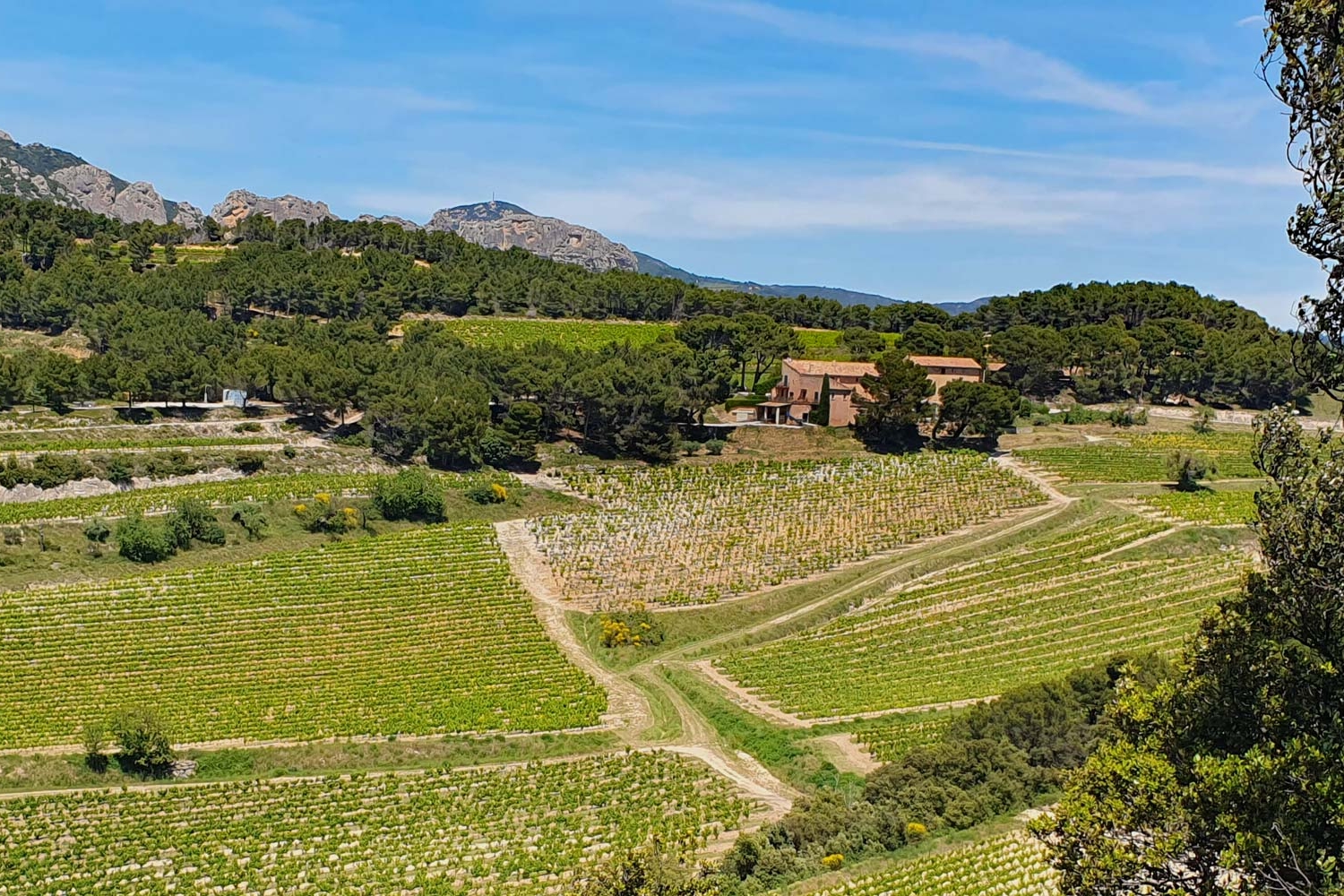 Western Provence