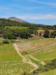 Western Provence