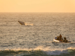 Thonga Beach Lodge, South Africa