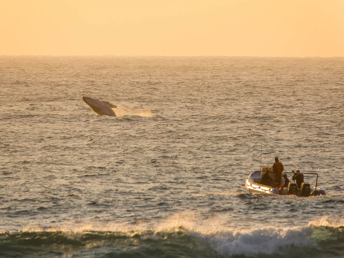 Thonga Beach Lodge, South Africa