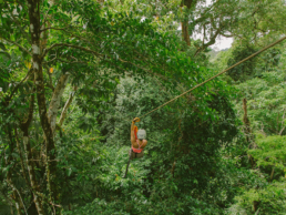 Tailormade Tours – Costa Rica: Coffee, Nature & Wildlife
