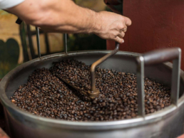 Tailormade Tours – Costa Rica: Coffee, Nature & Wildlife