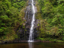 Tailormade Tours – Costa Rica: Coffee, Nature & Wildlife