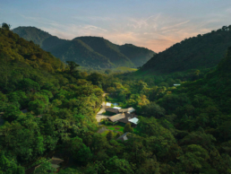 Tailormade Tours – Costa Rica: Coffee, Nature & Wildlife