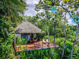 Tailormade Tours – Costa Rica: Coffee, Nature & Wildlife